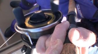 Dave Mercer's Facts of Fishing