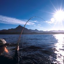 Salmon Fishing Kyuquot Sound